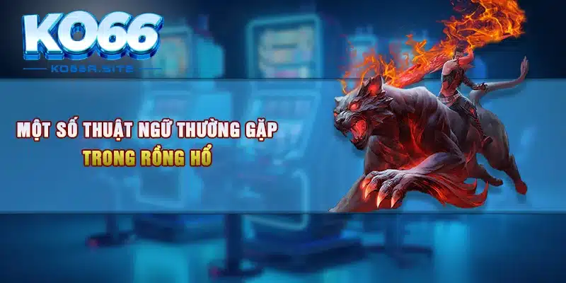 Một số thuật ngữ thường gặp trong Rồng Hổ