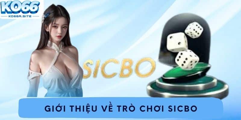 Giới thiệu về trò chơi Sicbo