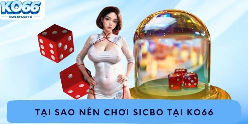 Tại sao nên chơi Sicbo tại Ko66