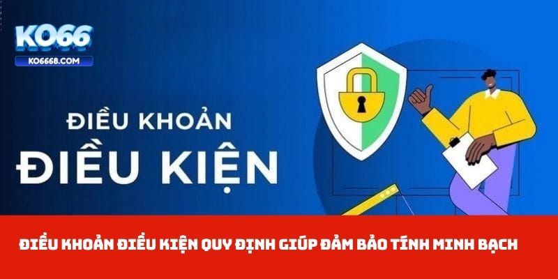 Điều khoản điều kiện quy định giúp đảm bảo tính minh bạch