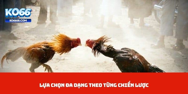Lựa chọn đa dạng theo từng chiến lược