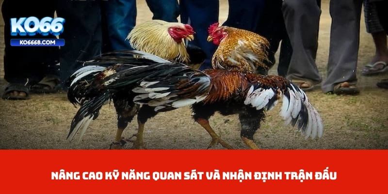 Nâng cao kỹ năng quan sát và nhận định trận đấu