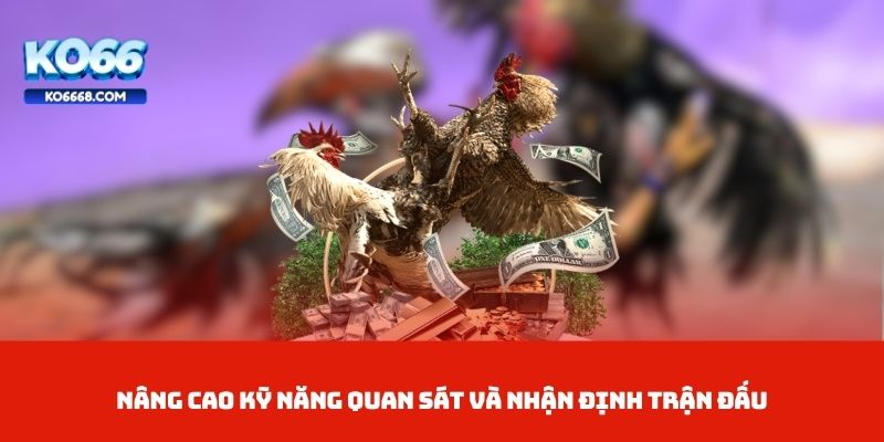  Nâng cao kỹ năng quan sát và nhận định trận đấu
