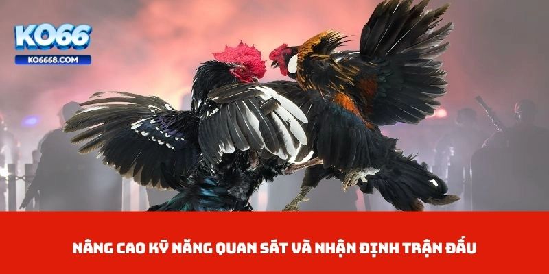 Nâng cao kỹ năng quan sát và nhận định trận đấu