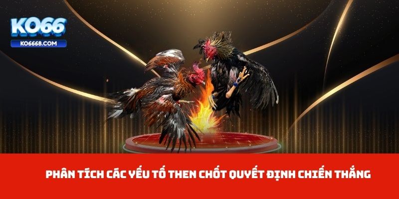 Phân tích các yếu tố then chốt quyết định chiến thắng