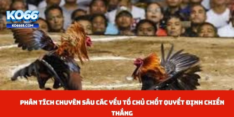 Phân tích chuyên sâu các yếu tố chủ chốt quyết định chiến thắng