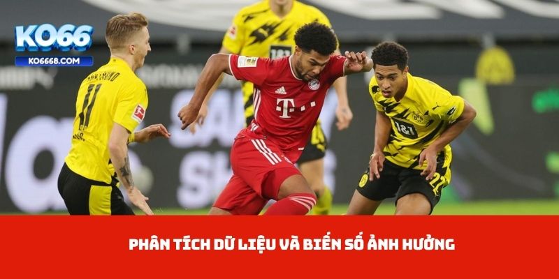 Phân tích dữ liệu và biến số ảnh hưởng