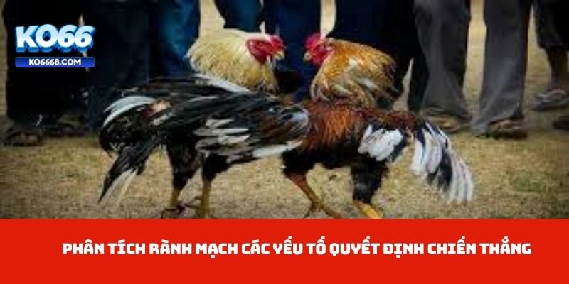 Phân tích rành mạch các yếu tố quyết định chiến thắng