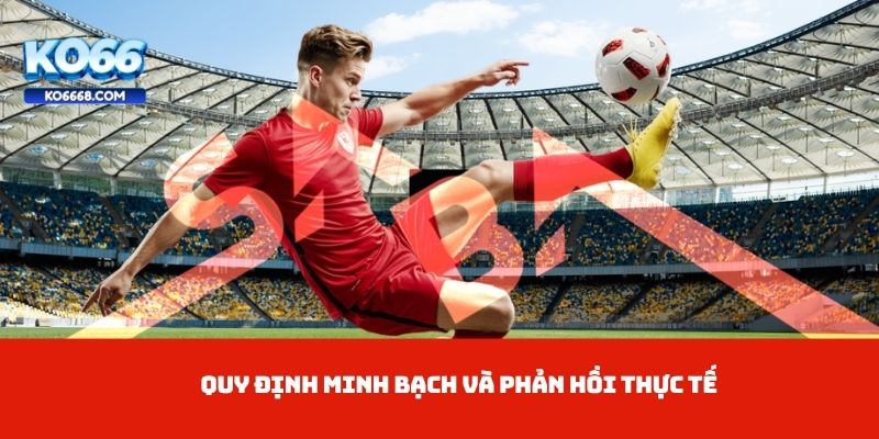 Quy định minh bạch và phản hồi thực tế