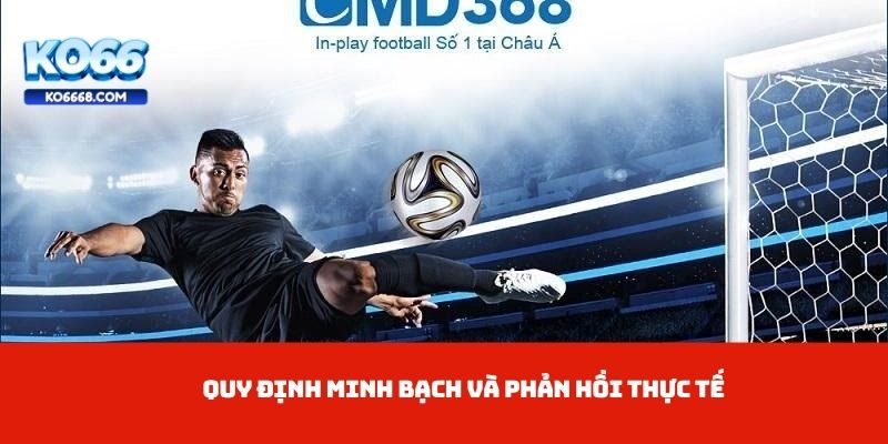 Quy định minh bạch và phản hồi thực tế