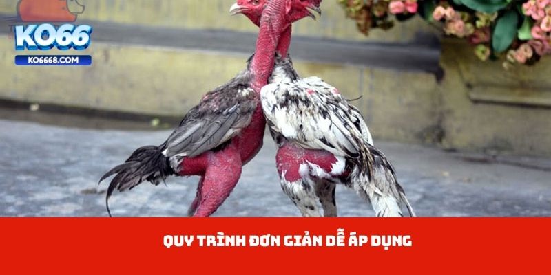 Quy trình đơn giản dễ áp dụng